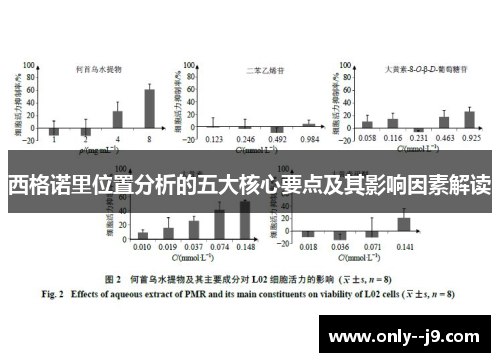西格诺里位置分析的五大核心要点及其影响因素解读