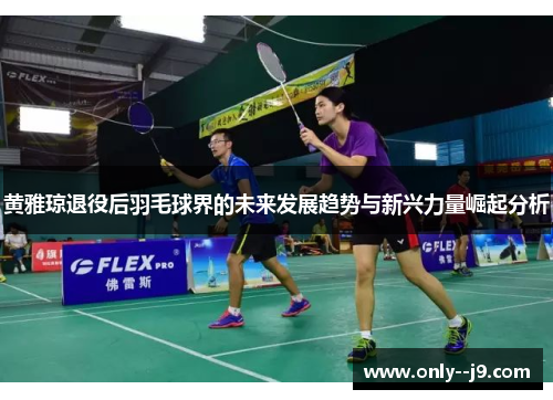 黄雅琼退役后羽毛球界的未来发展趋势与新兴力量崛起分析